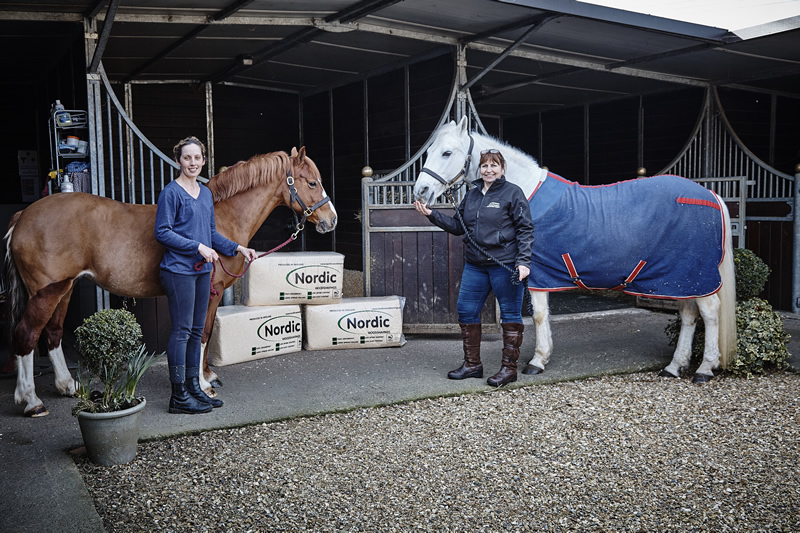 Are My Wood Shavings Poisonous? Savvy Horsewoman