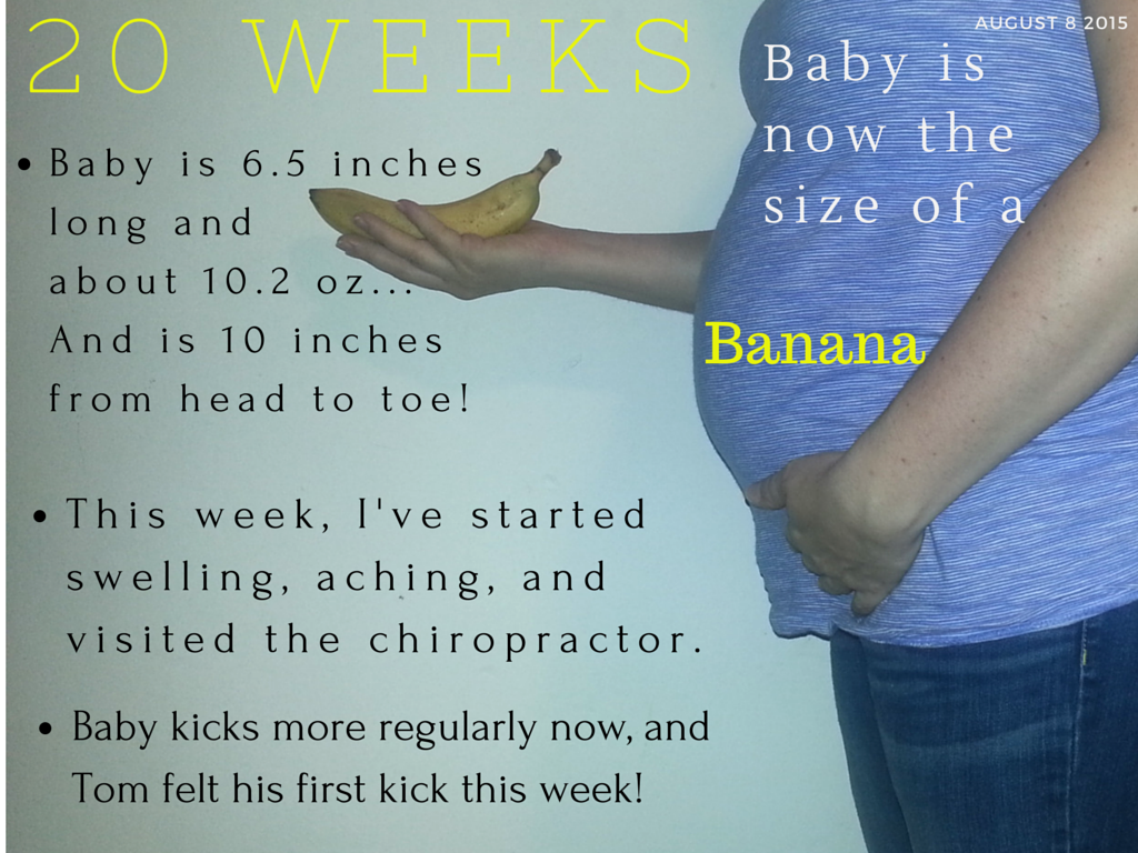 photo Baby Kicking Images 20 Weeks the newest vazquez
