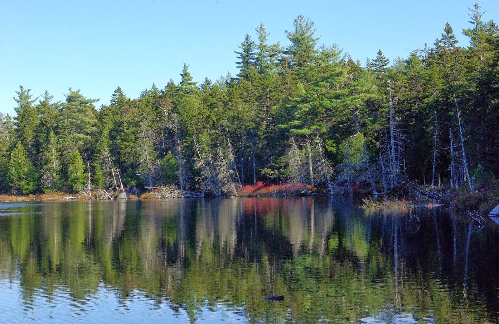 Hiking in Maine with Kelley October 2013