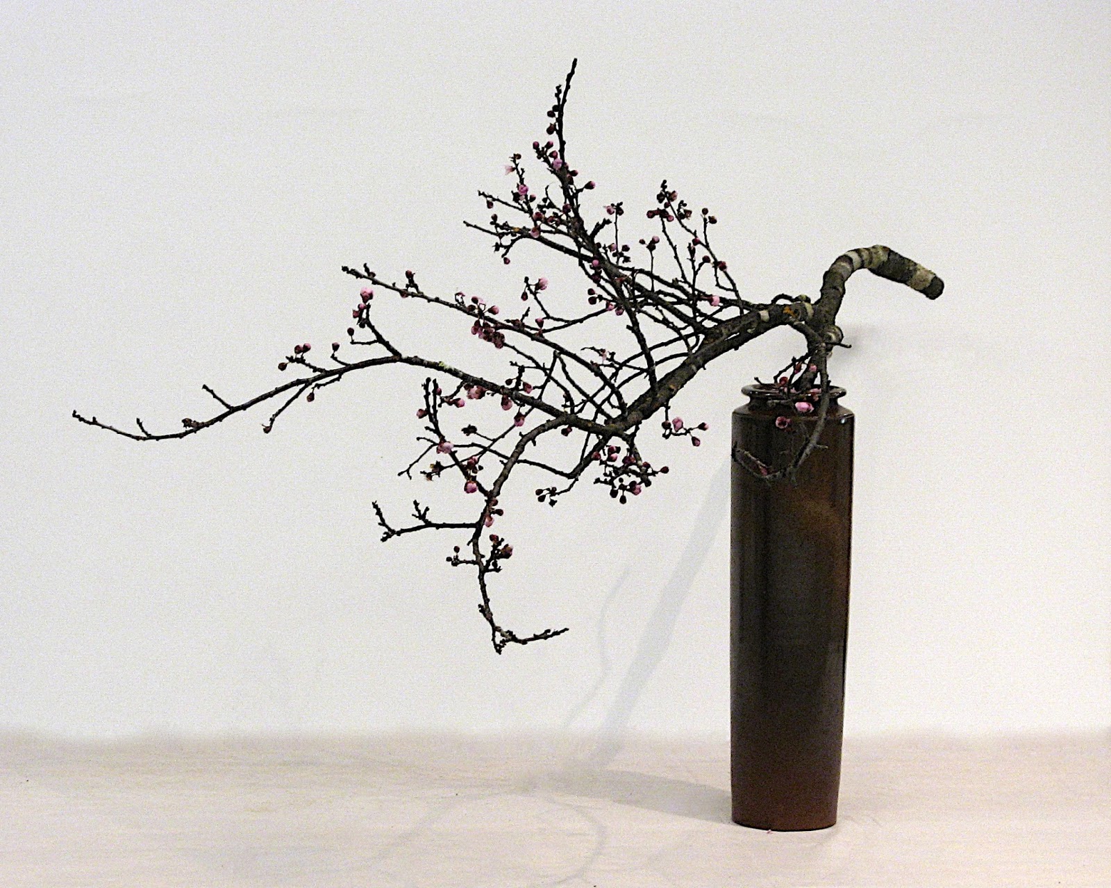 ROADSIDE IKEBANA IN BRISBANE