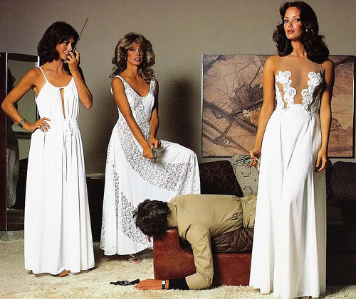 charlies angels essay charlies angels essay