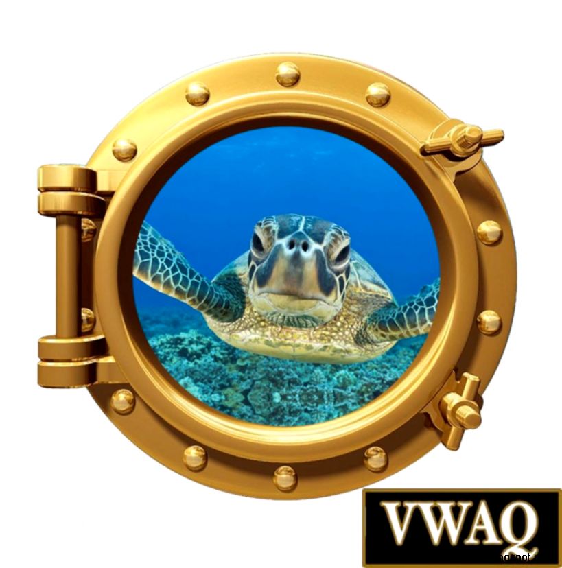 Sea Turtle Porthole Window Underwater Ocean Room Decor Peel Stick Sea Turtle Porthole Window Underwater Ocean Room Decor Peel Stick
