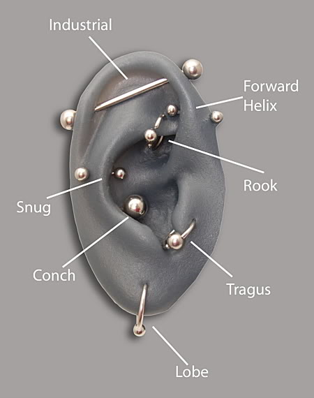 different ear piercings