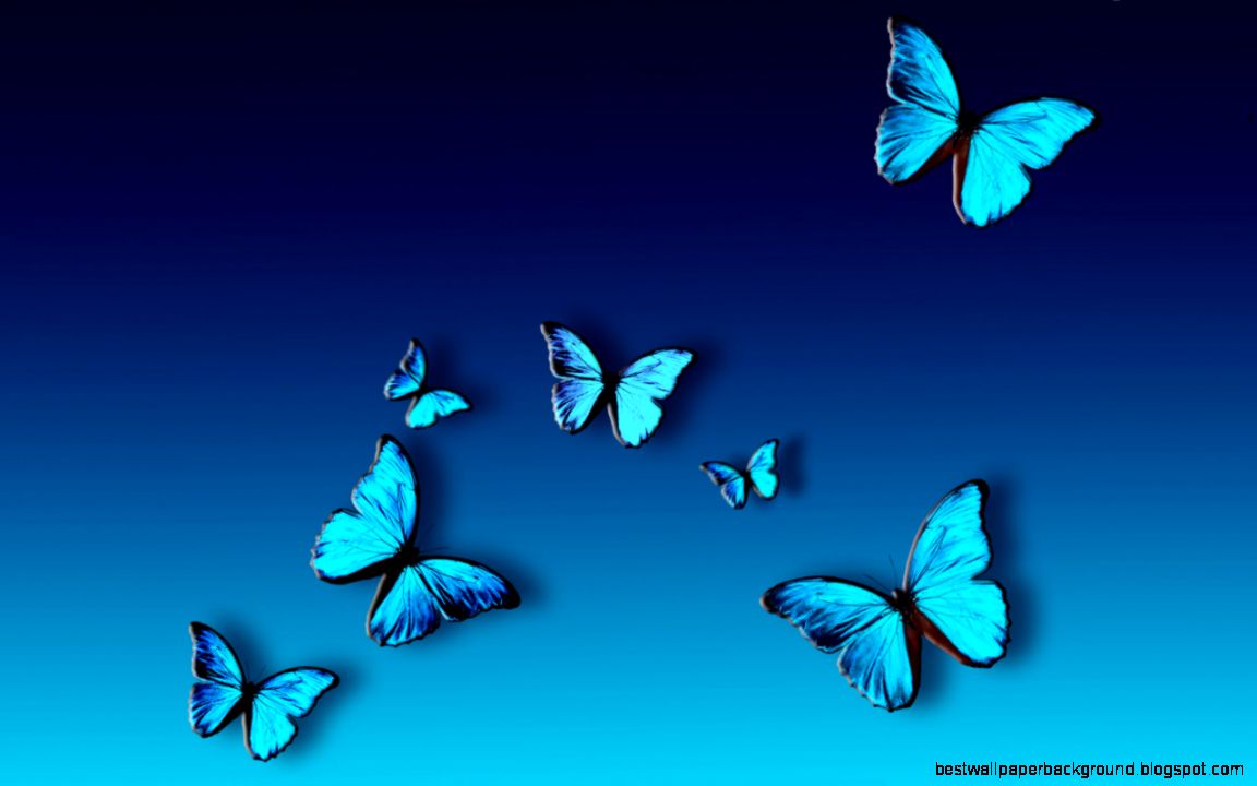 Wallpapers Butterfly Nature Abstract Animals Blue Butterflies Wallpapers Butterfly Nature Abstract Animals Blue Butterflies