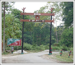 Buxa Jungle