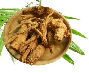 biologi education gingseng sebagai tanaman obat biologi education gingseng sebagai tanaman obat