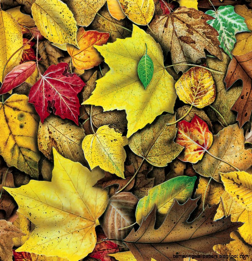 Oak Leaf Paintings for Sale Oak Leaf Paintings for Sale