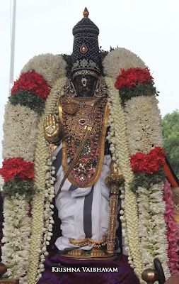 2015, Kodai Utsavam, Venkata Krishnan Swamy, Parthasarathy Temple, Thiruvallikeni, Triplicane,Day 06