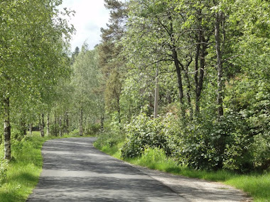 Gatan að húsinu í  Korsavegen