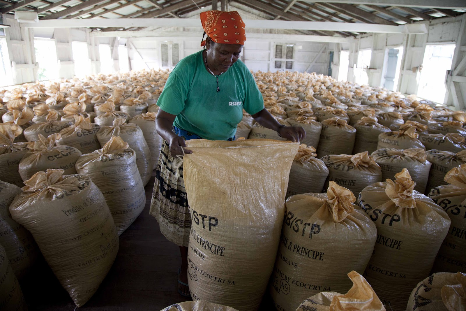 Sweet Success Revitalizing Cocao Production in Sao Tome Blogs Papua