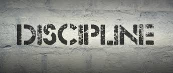 discipline essays