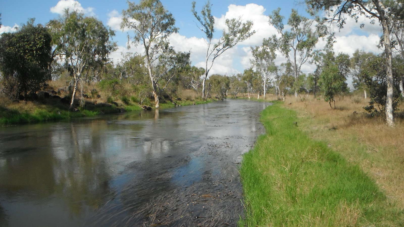 Fletcher+Creek+009.JPG