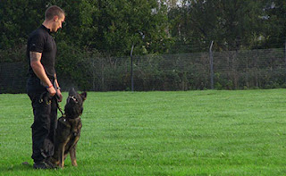 A dog looking at his master standing to attention by his side