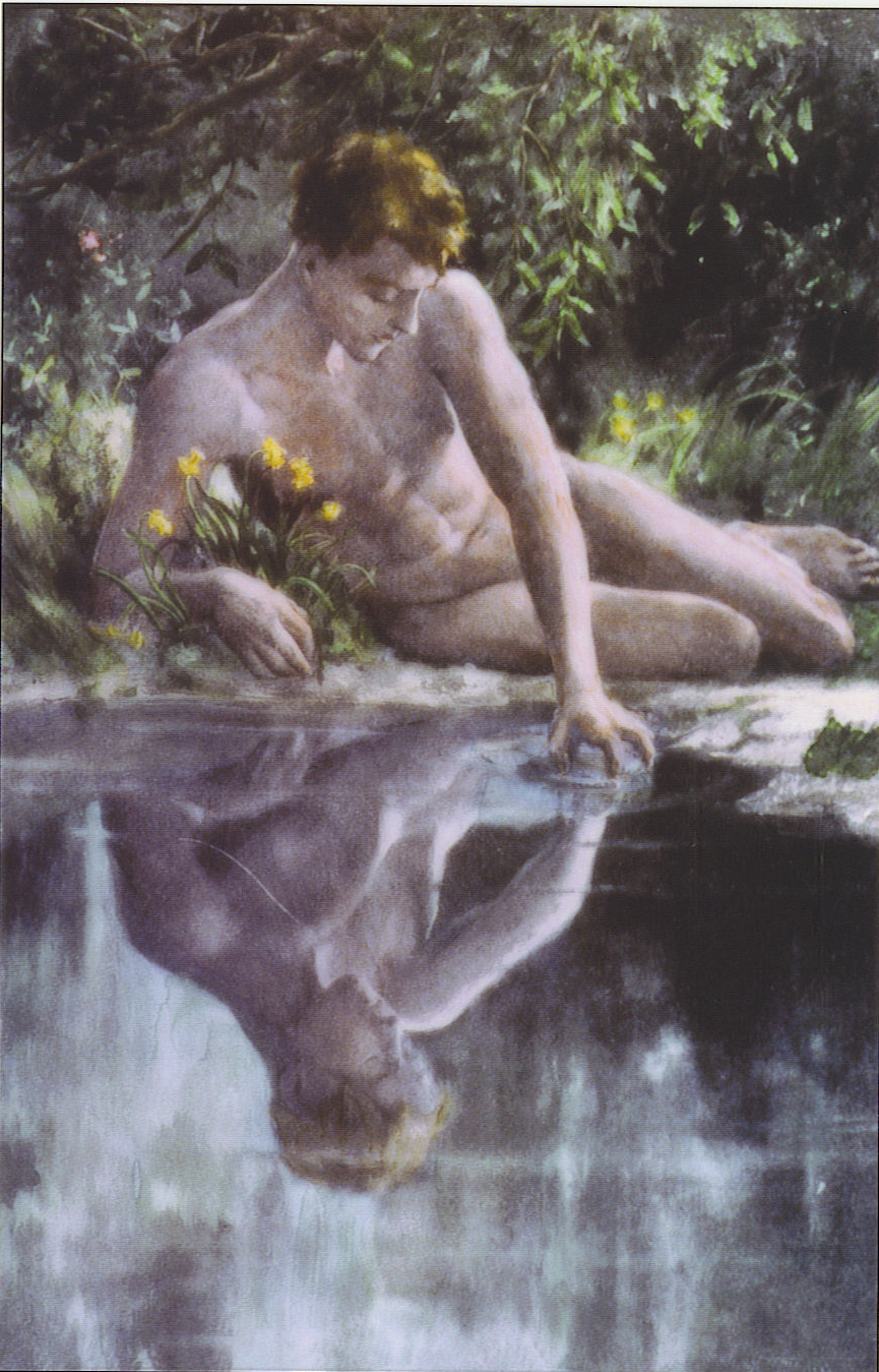 Narcissus Reflection