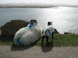 Ireland in the Spring