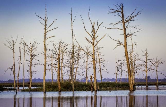 Tallulah Jane S Bucket List Add Poverty Point Reservoir State