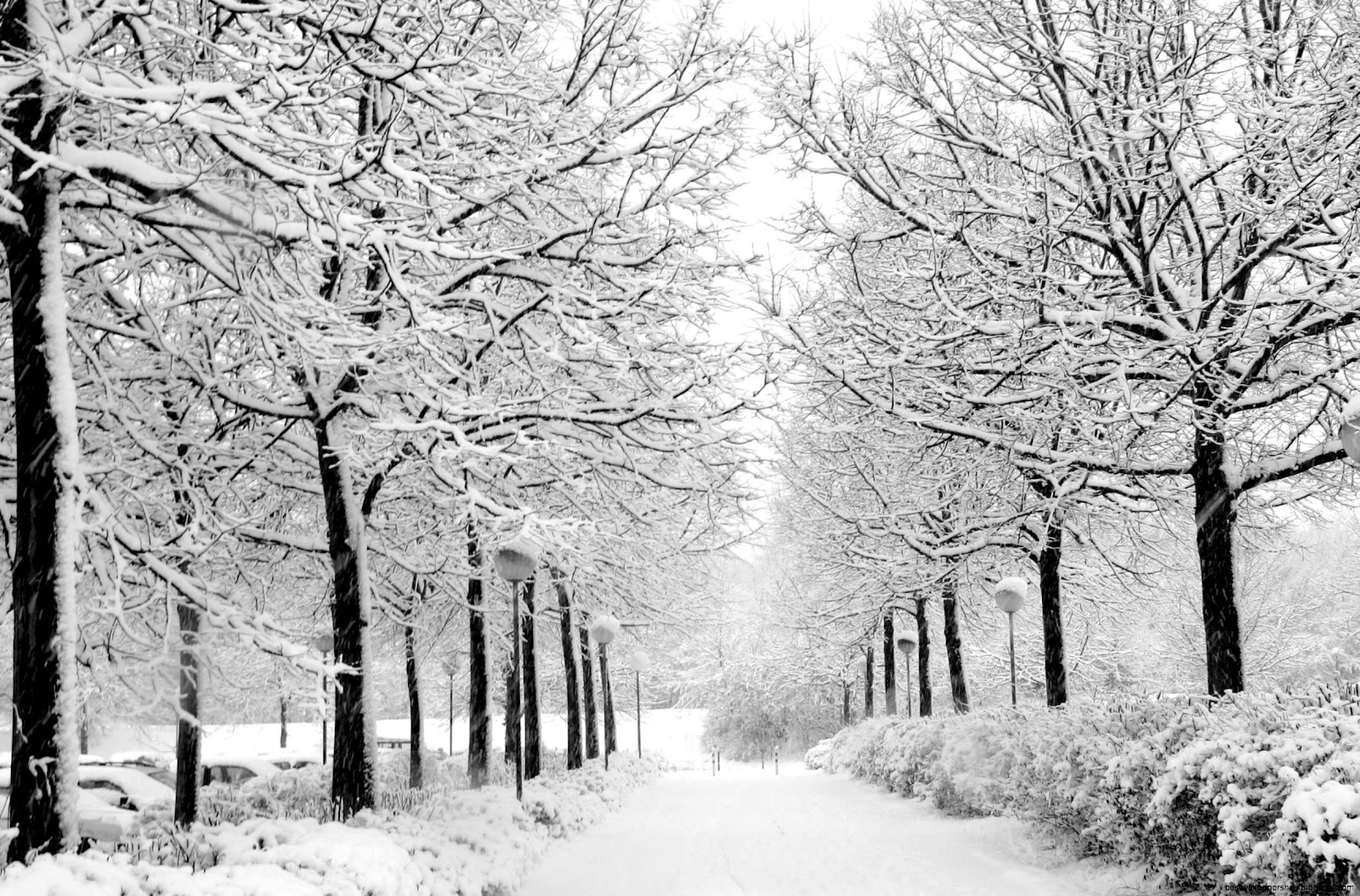 Winter Scenes for Facebook Cover Winter Scenes for Facebook Cover