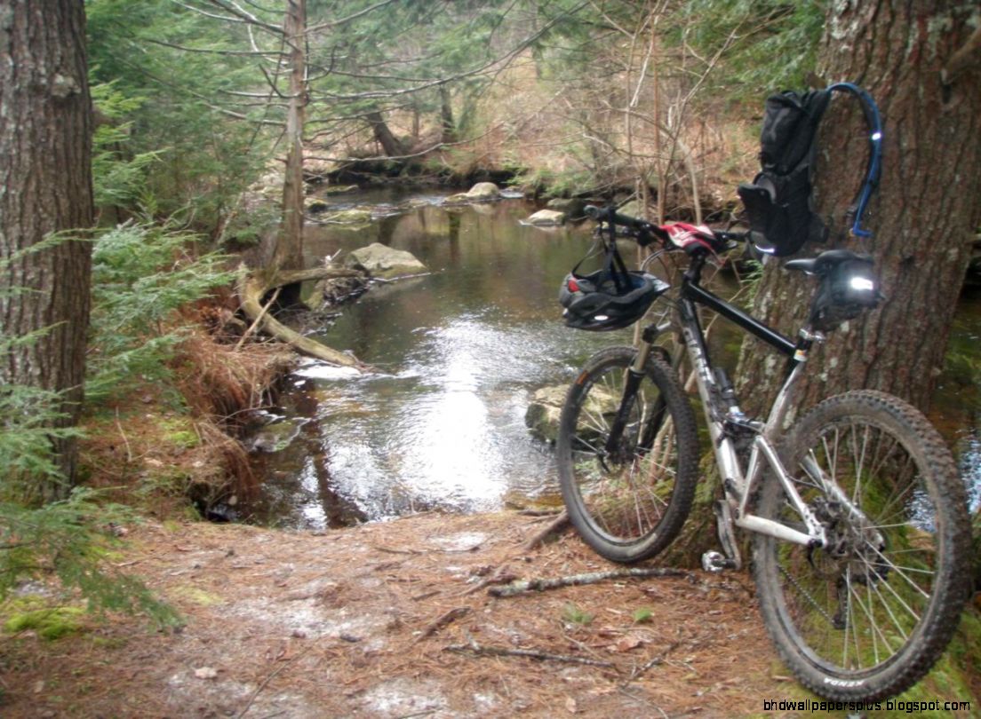 Avenir Big Mouth Reviews Mountain Bike Reviews Avenir Big Mouth Reviews Mountain Bike Reviews