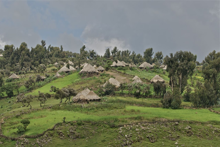 Das Dorf Gheech mit den typischen Rundhütten (Tukuls)