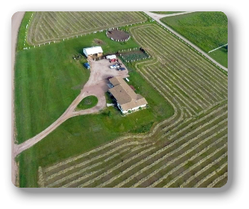 Horse property ranchette near Piedmont South Dakota aerial photo by Lee Alley