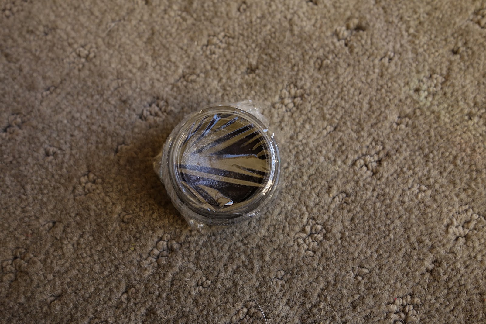 Butterflyiing Tips Dried out MAC Paint Pot