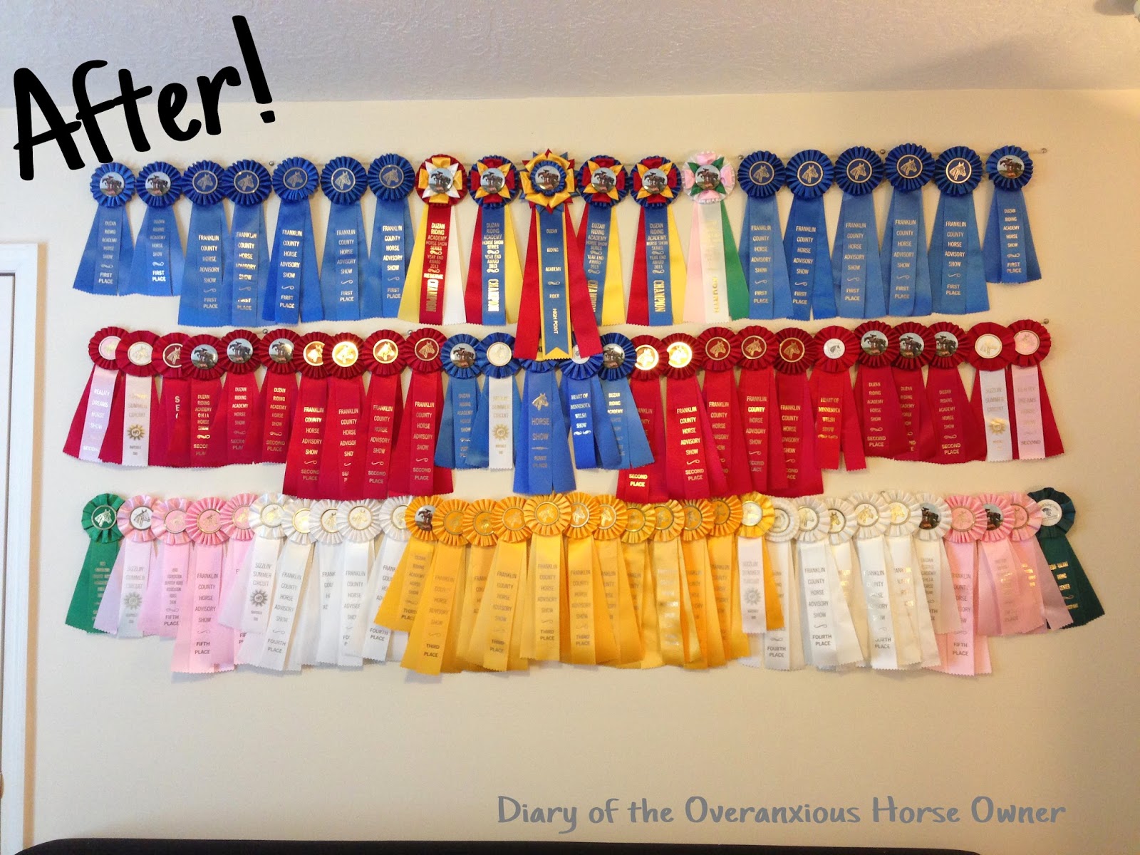 Diary of the Overanxious Horse Owner Easy DIY Ribbon Display