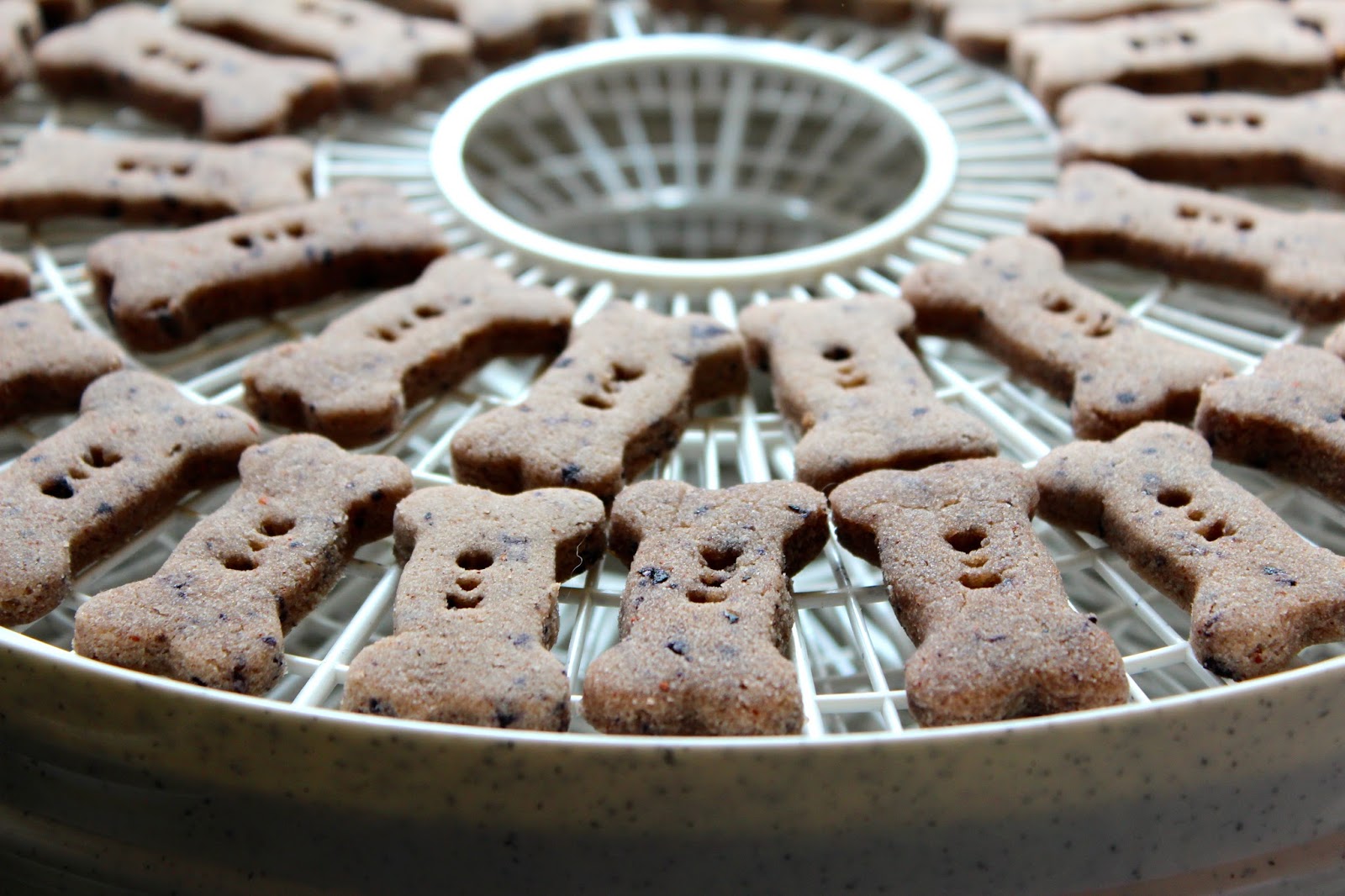 Everything You Need to Know About Using a Dehydrator for Cookies - Your  Baking Bestie