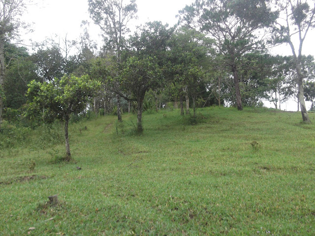 [Hình: DSCF3061.JPG]