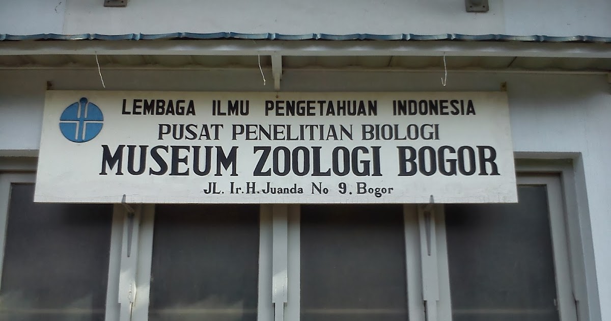 ☺Starry Nite☺ [TUGAS] Laporan Kunjungan ke Museum Zoologi
