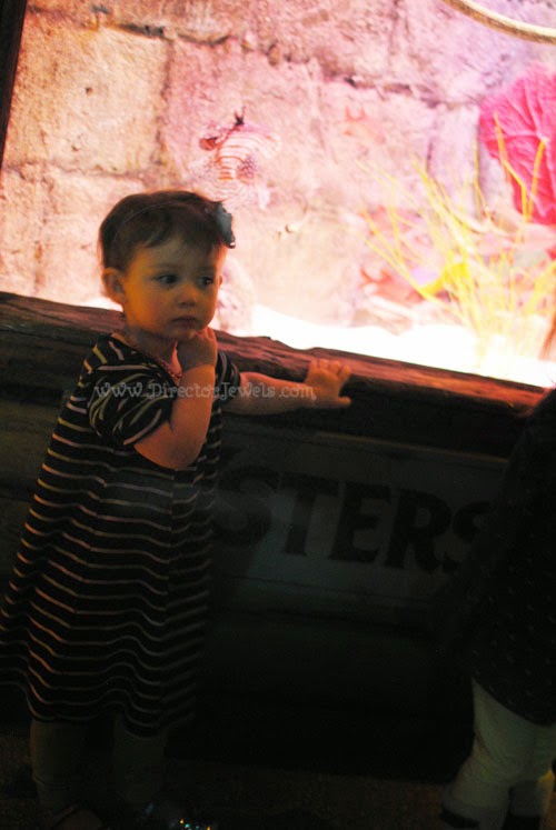 I love being able to take my children on adventures that entertain them