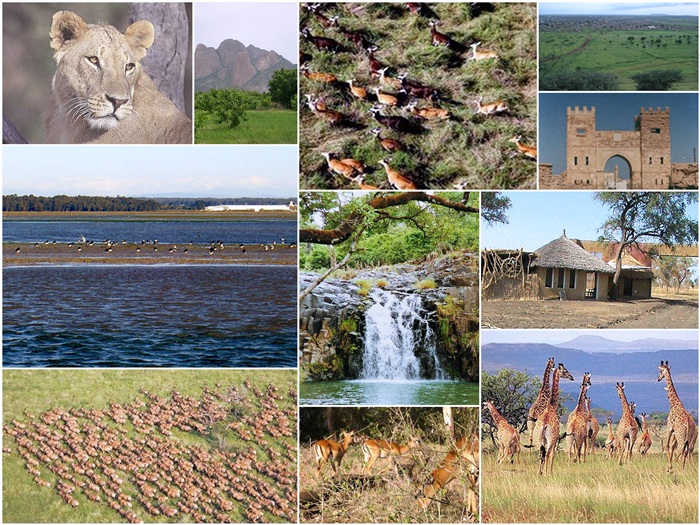 Safari Notes Dinder National Park Sudan