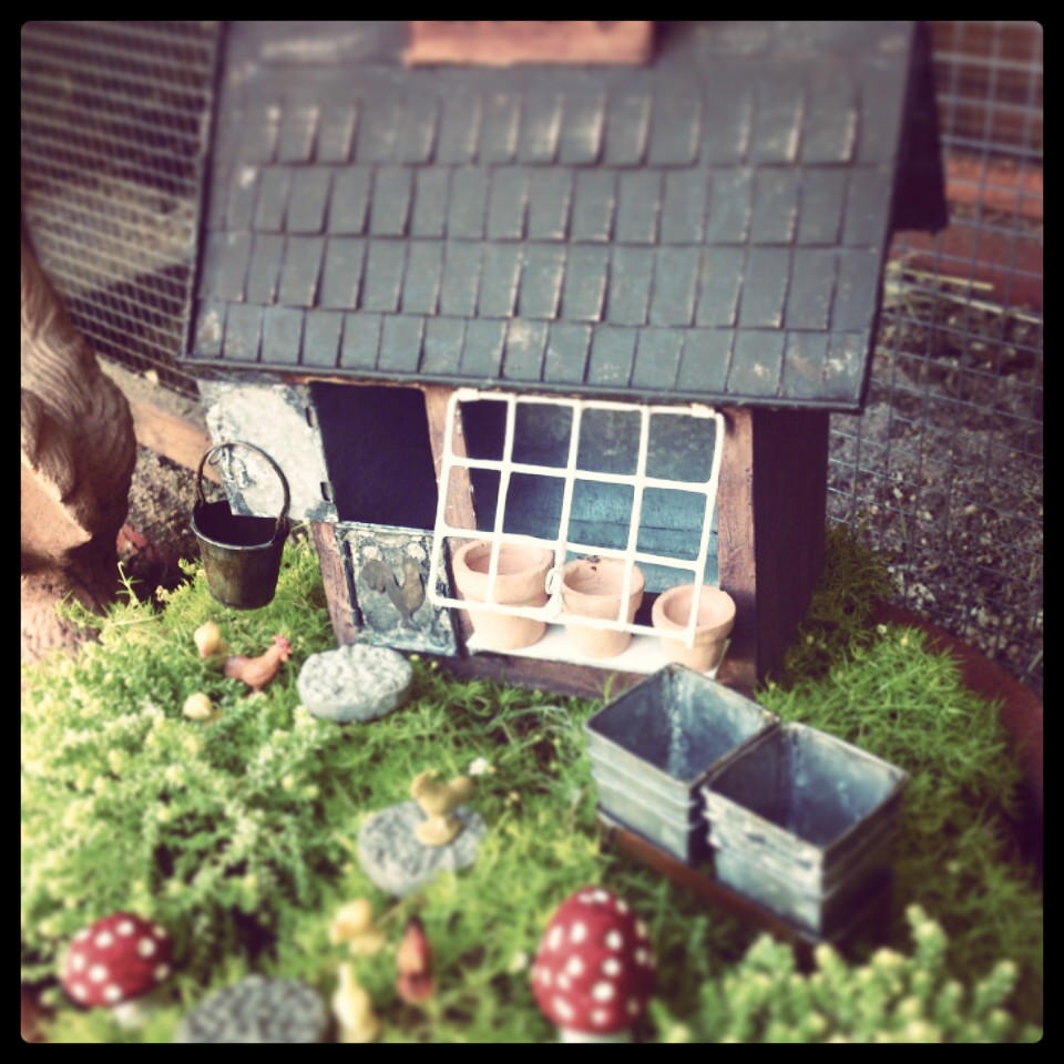 Sunny Simple Life Chicken Coop Fairy Garden Done!!