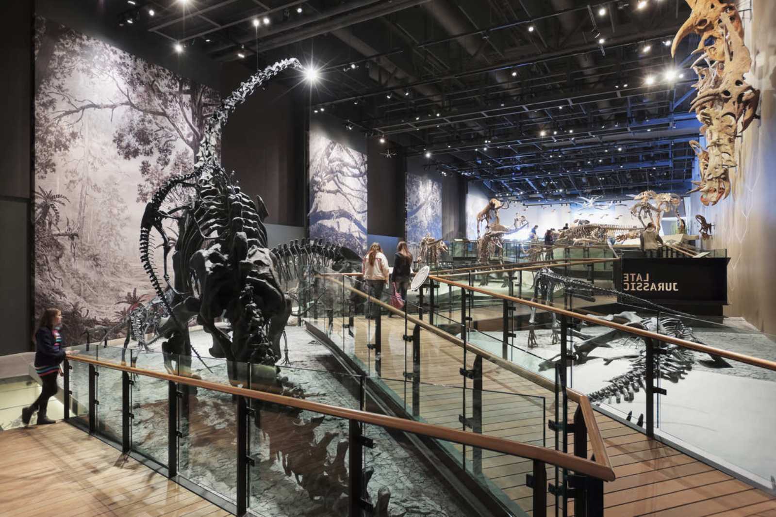 architecture now and The Future NATURAL HISTORY MUSEUM OF UTAH BY