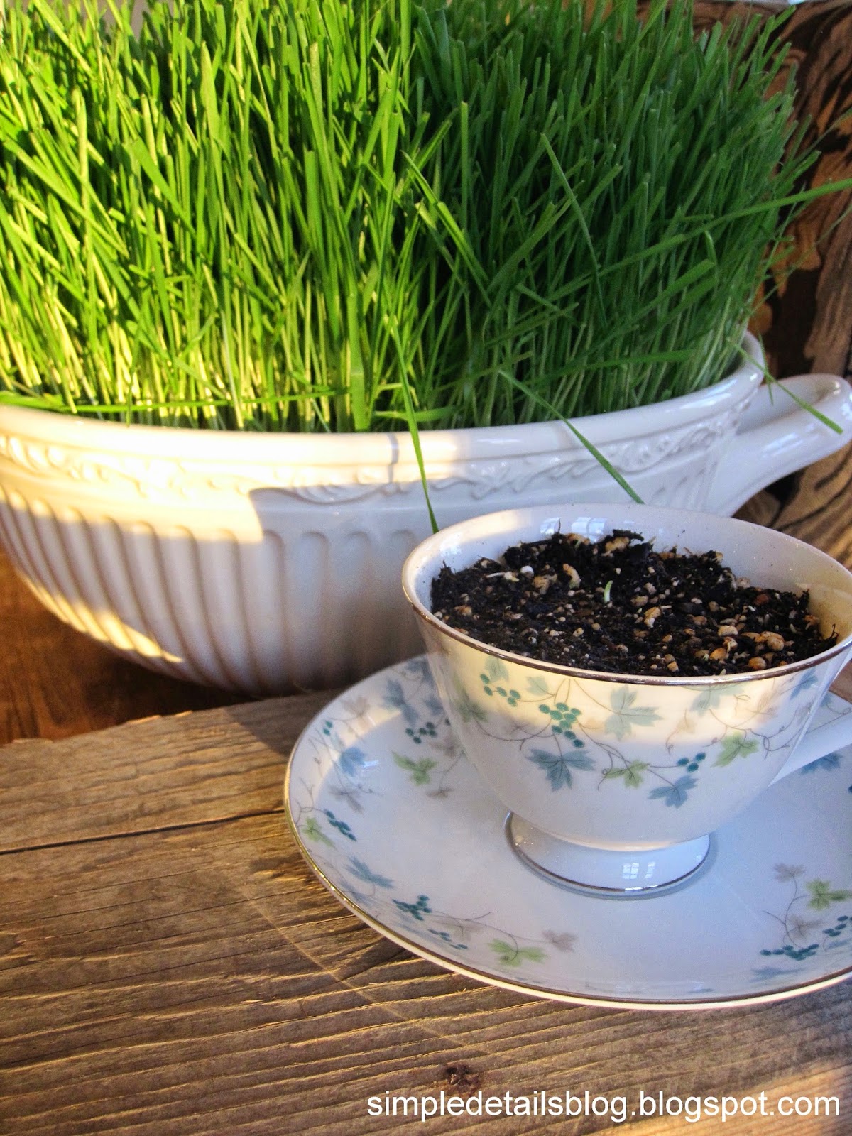 Simple Details decorative wheat grass...it's time!