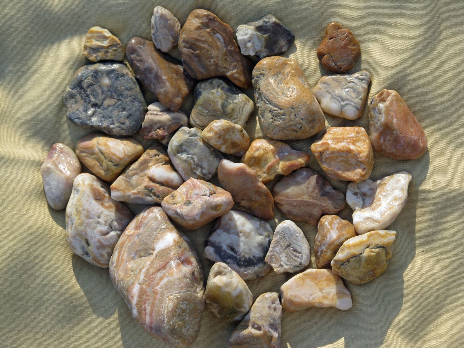 ADVENTURES WITH ROCKS (TM) Badlands, Buttes, and Banded Agates