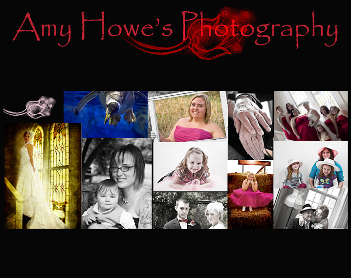 Amy Howe's Photo Blog