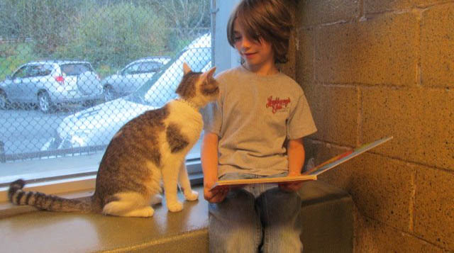 lectura a gatos Book Buddies