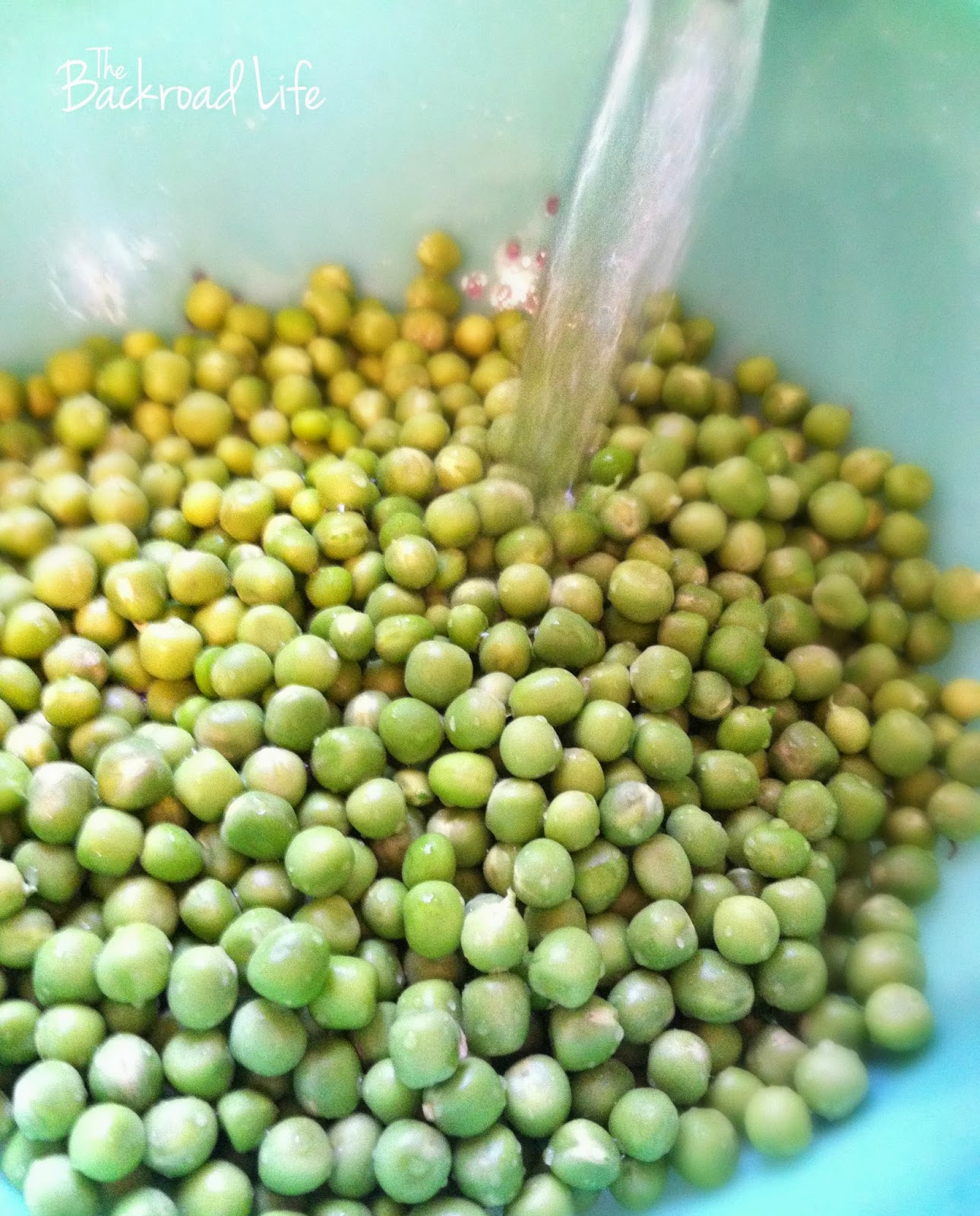 The Backroad Life How to Freeze Peas