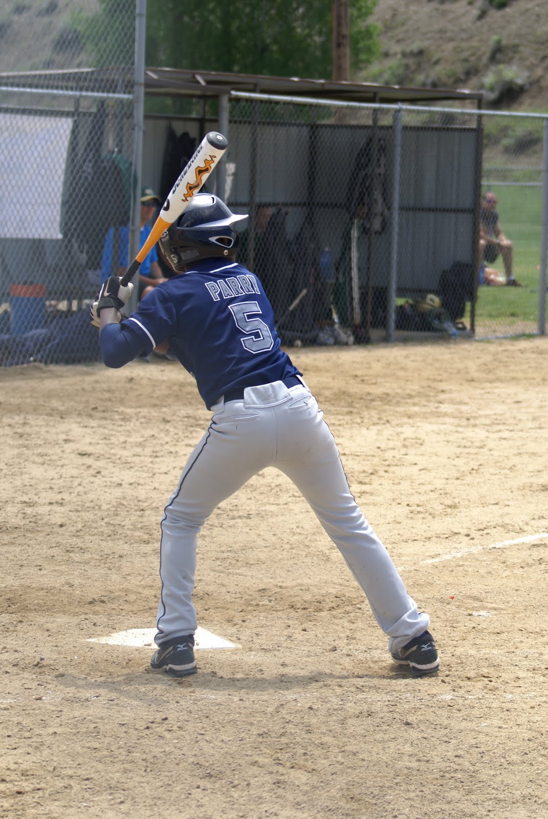Diamond Dawgs Baseball Steamboat Springs, CO. Triple Crown Magic