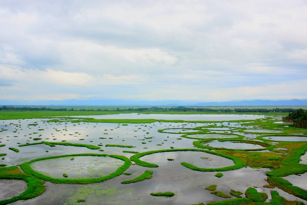 Amazing Places in The World to Visit Loktak Lake, Floating Islands of