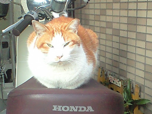 20100513-CA3A0067.JPG