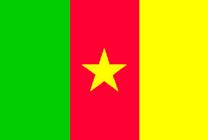 De vlag van Kameroen