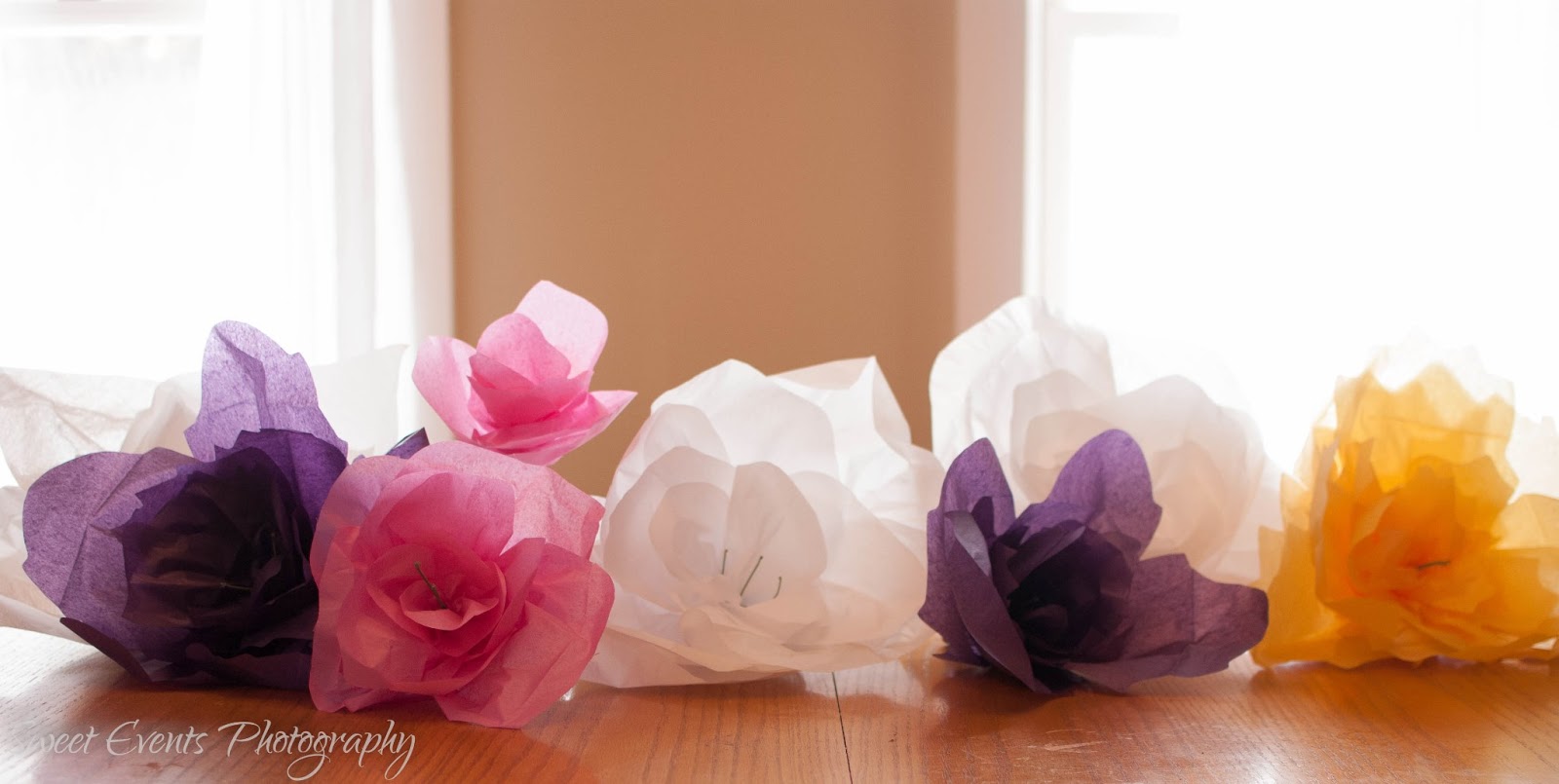 Sweet Events Photography Giant Tissue Paper Flowers A Photo Tutorial