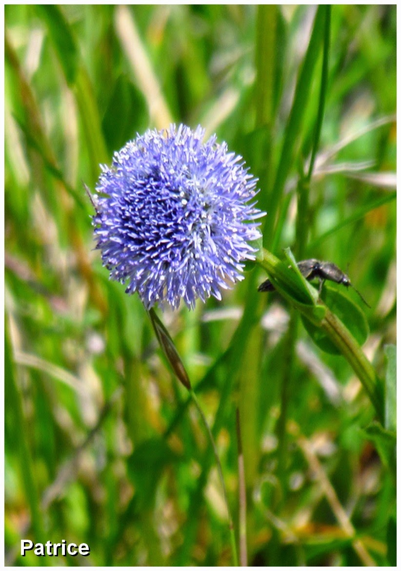 Blog Photos de Patrice avril 2014