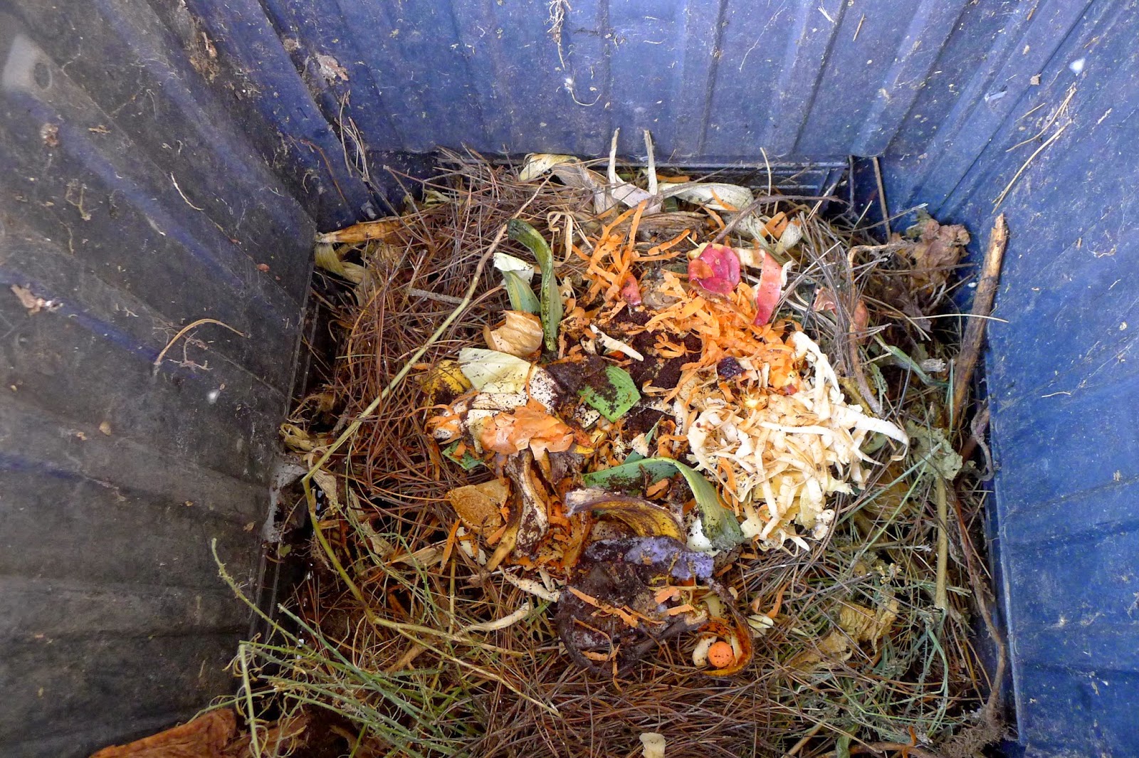 Less Noise, More Green Amending sandy soil, composting and planting