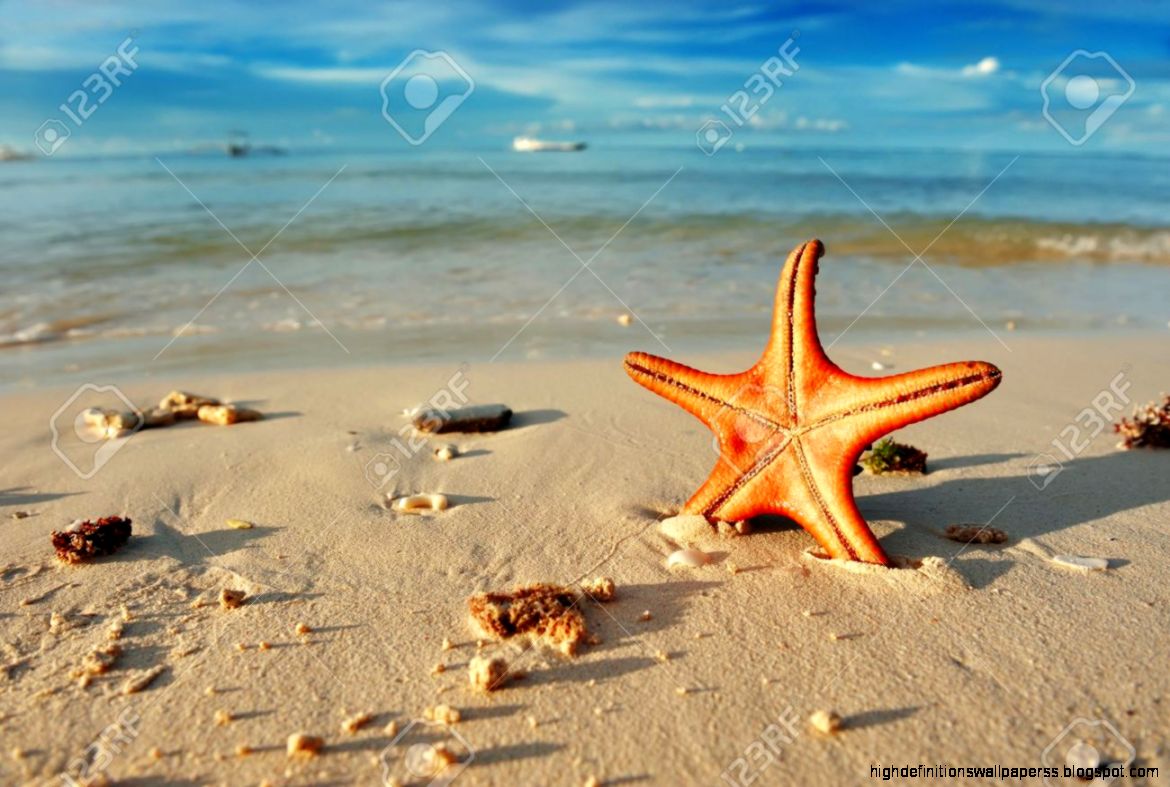 Starfish On A Beautiful Beach Stock Photo Picture And Royalty Starfish On A Beautiful Beach Stock Photo Picture And Royalty