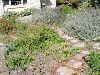 Harriett's Gardens: Stepping Stones in Garden