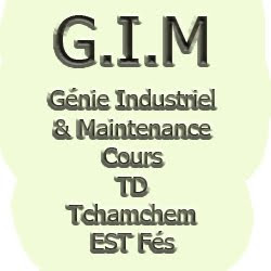 GIM