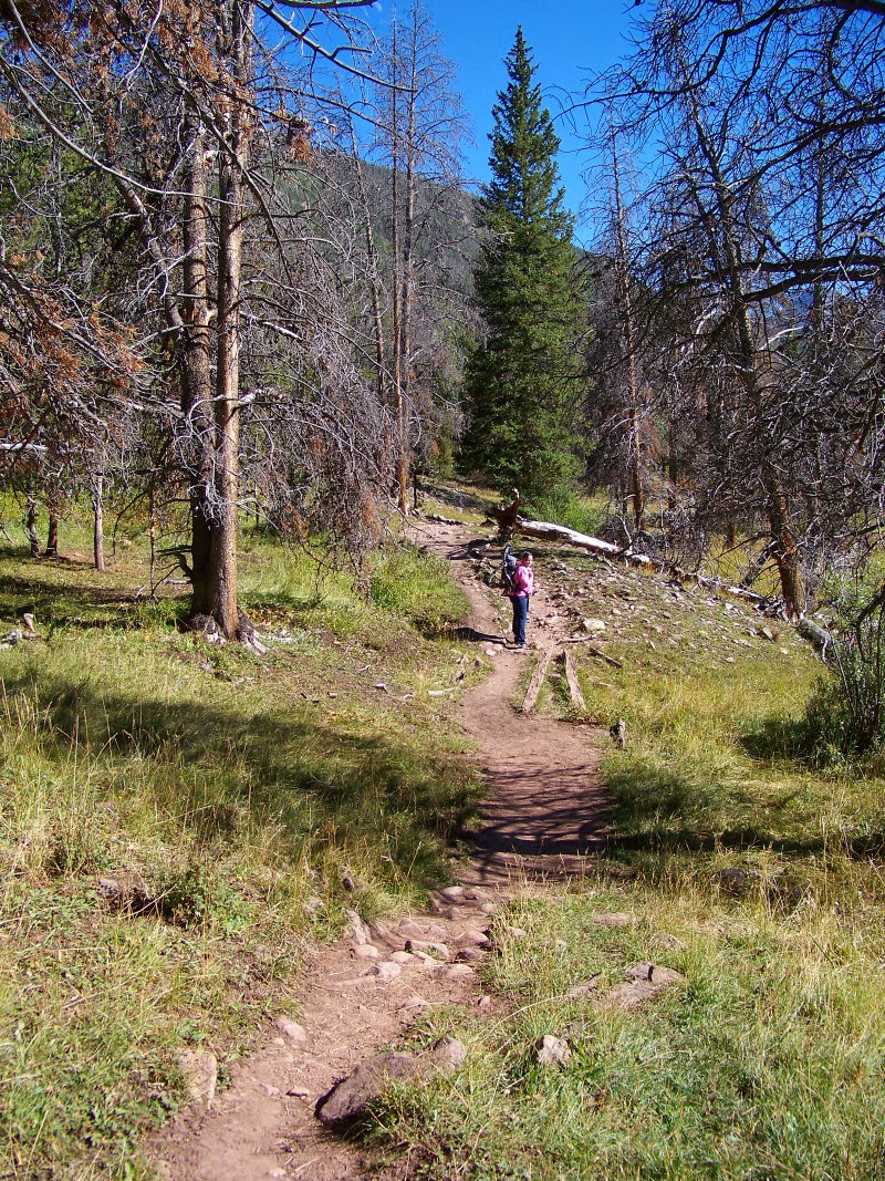 Runaway Bridal Planner Christmas Meadows, Utah High Uinta Mountains
