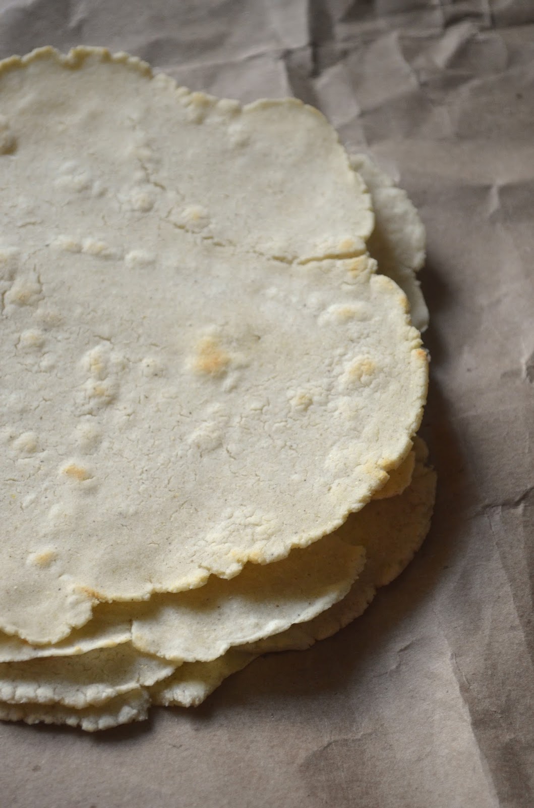 The Lazy Daisy Kitchen homemade corn tortillas
